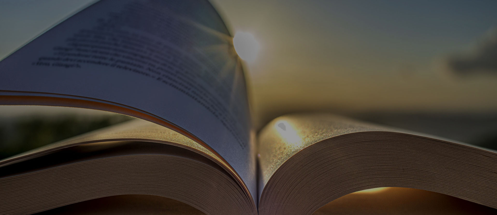 Author Page Banner