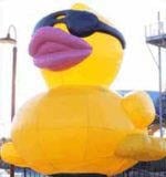 Antelope Valley Rubber Duck Race